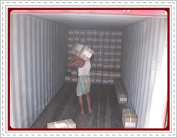Cargo_Control_Container_Inspection_for_certification
