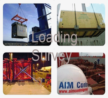 Cargo_Control_Container_Inspection_gif