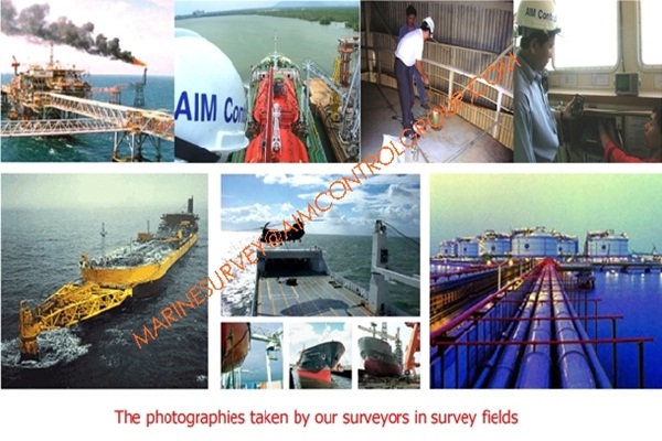 Cargo_Marine_survey_shipping_inspection_in_Ho_Chi_Minh_Vietnam_AIM_Control