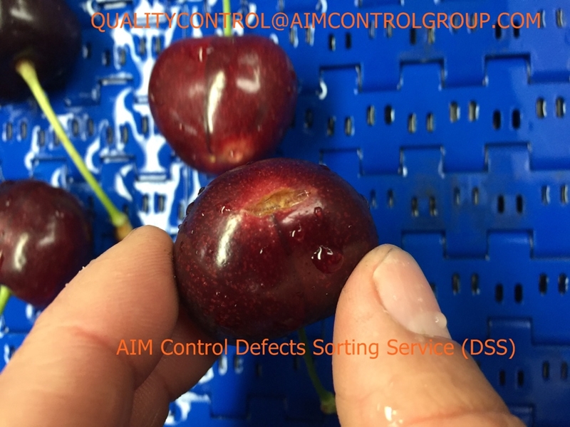 Defect_sorting_service_for_fresh_fruits_AIMControl_Inspection