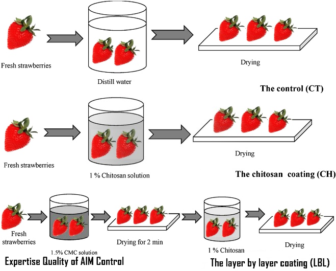 Expertise_Quality_inspection_of_strawberries_and_assurance_standards_lbl