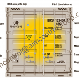 Container loading inspection services