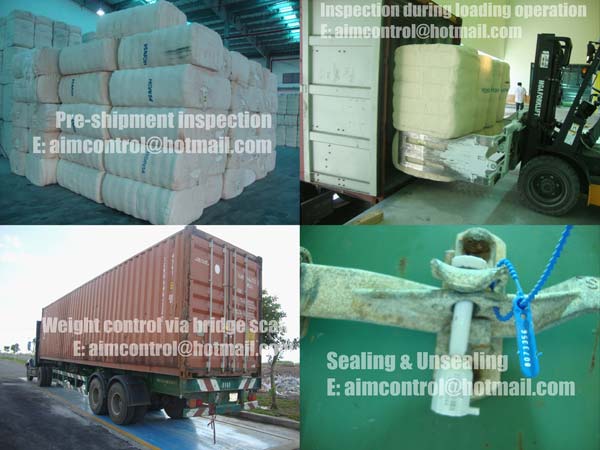 Inspection_during_loading_operation_container