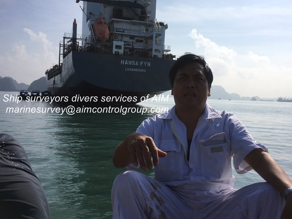 Ship_Vessel_marine_survey_surveyor_inspector_diver_tally_clerk_AIM