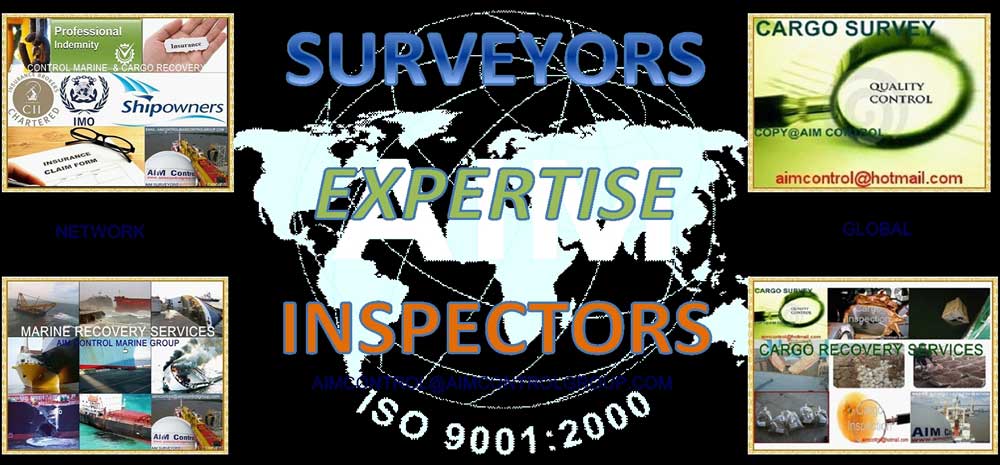 Damage_expertise_surveyor_services_in_insurance_claim_AIM_Control