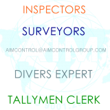 Inspection service