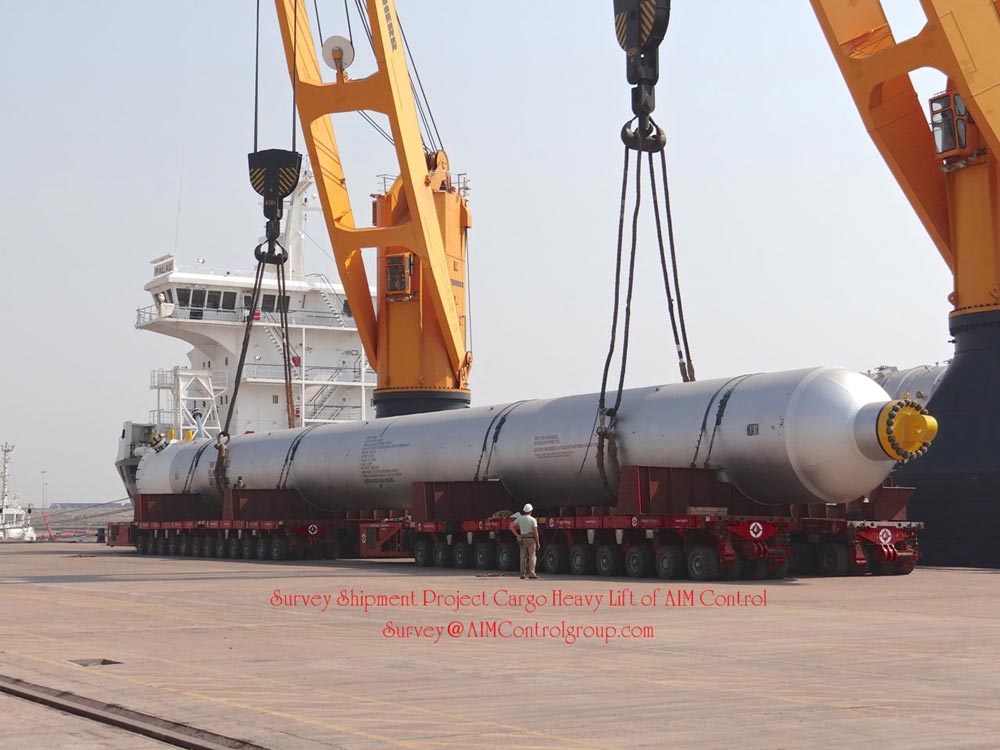 Cargo Pre-shipment Survey and Loading Tally Supervision
