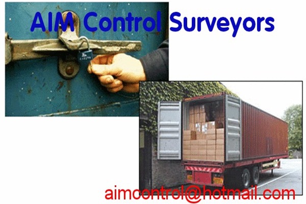 Container Loading Checking