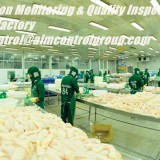 Production Monitoring