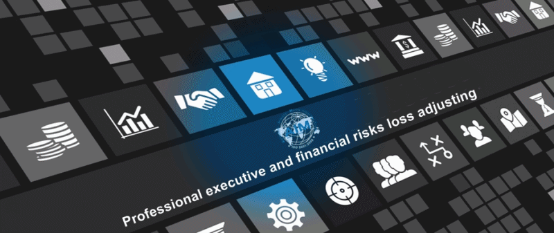 AIM-professional-executive-and-financial-risks-loss-adjusting