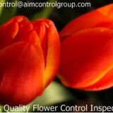 Flower quality control and inspection