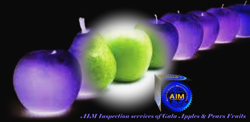 AIM_Inspection_services_of_Gala_Apples_and_Pears_Fruits