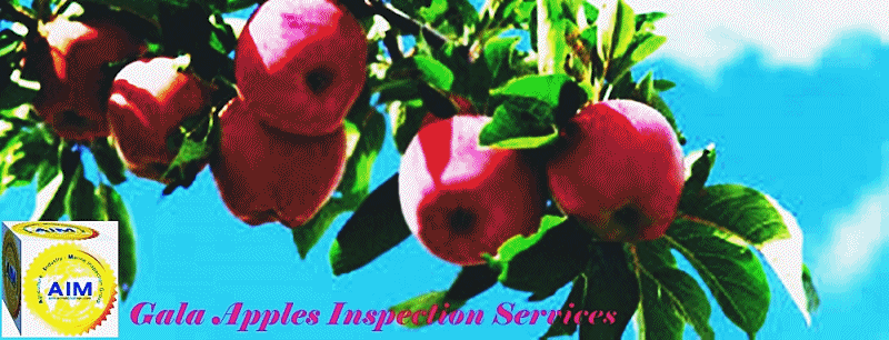 Fruits_Gala_Apples_Inspection_Services
