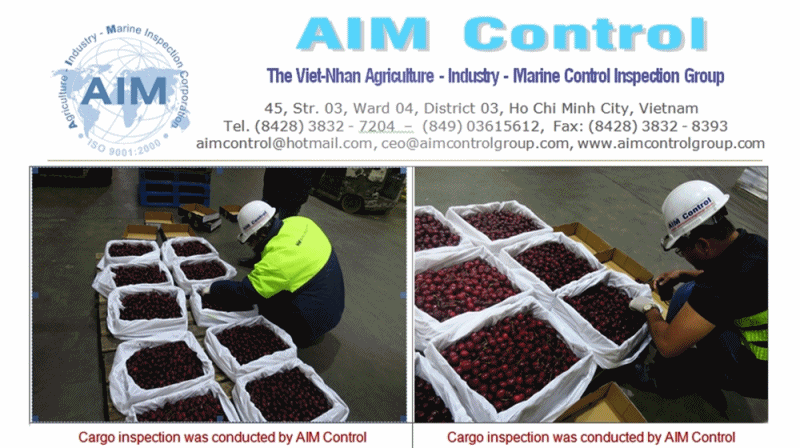 fruits-inspection-for-Fresh-Grapes-fresh-Cherry-Fresh-Pear-and-vegetable