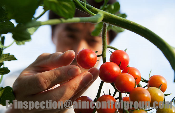 Quality_inspection_for_agriculture_foods_spices_herbs_services_AIM_Control