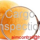 Cargo and Goods Inspections