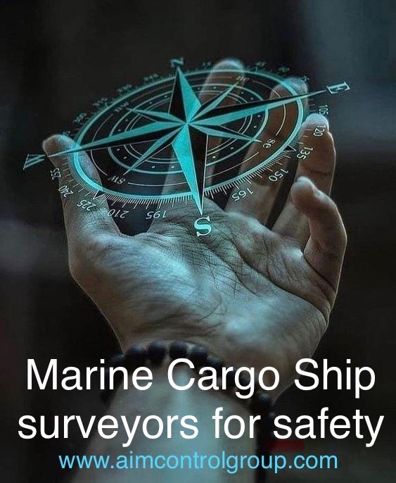 The_marine_cargo_ship_surveyor