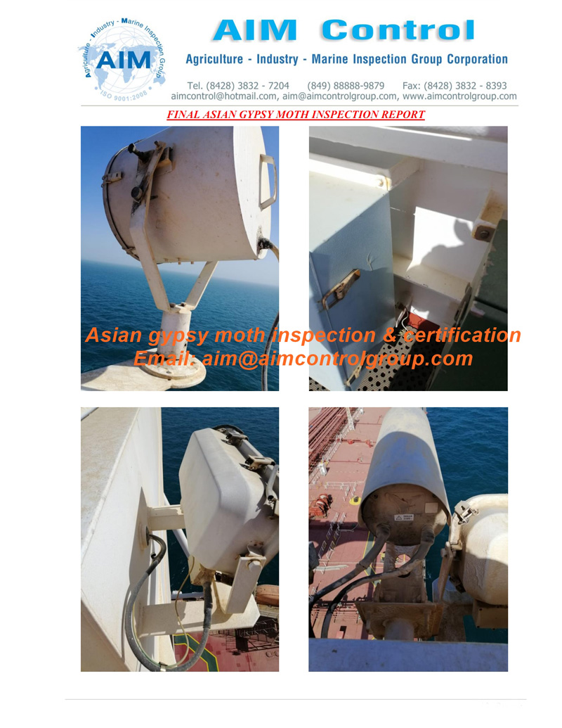 asian-gypsy-moth-inspection-certification-AIM-Group