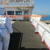 Asian gypsy moth inspection