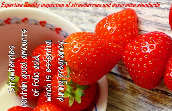 Expertise_Quality_inspection_strawberries_assurance_standards