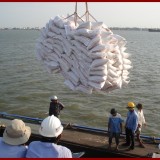 Kiểm đếm hàng hóa