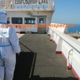 Asian gypsy moth inspection certification