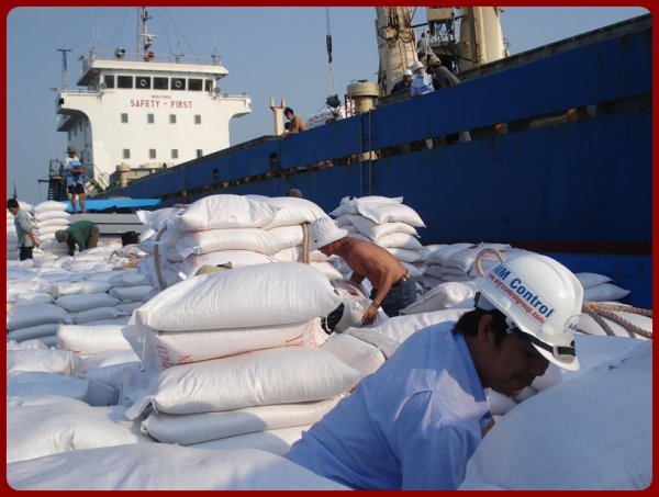 Tallying_services_AIM_Control_for_cargo_loading_on_marine_vessel_ship