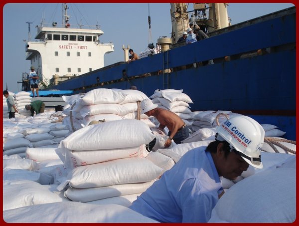 Tallying_services_AIM_Control_for_cargo_loading_on_marine_vessel_ship