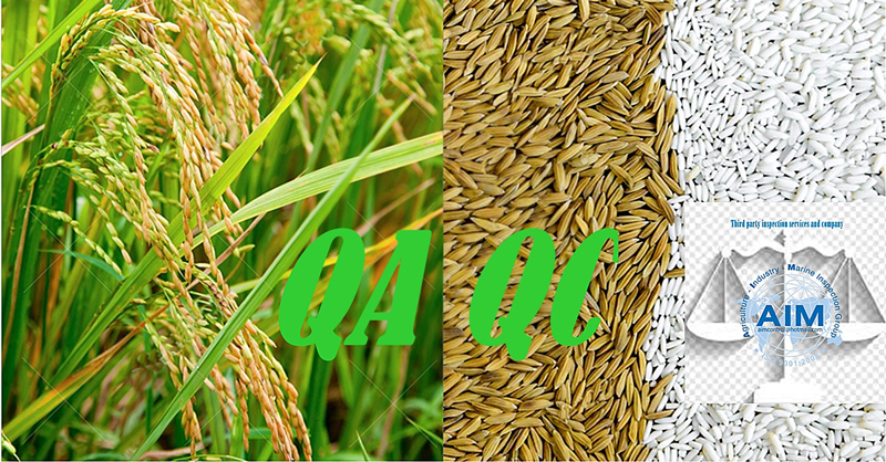 Agricultural_products_quality_assurance_aquaculture_quality_control_for_rice