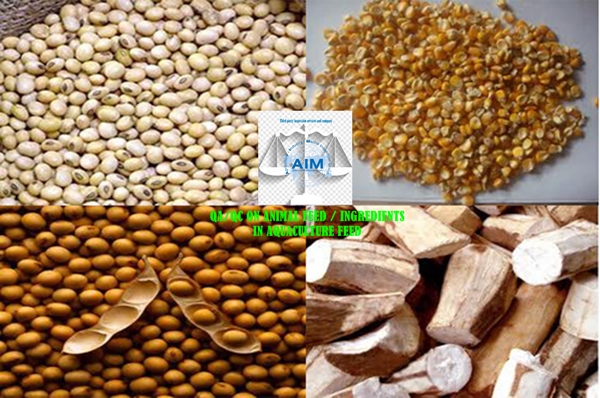 qa-qc-on-animal-feed-ingredients-in-aquaculture-feed