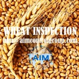 Wheat quality inspection