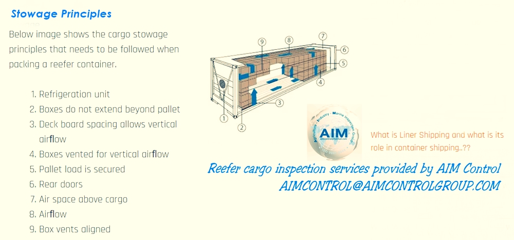 Reefer_cargo_inspection_services_in_stowage