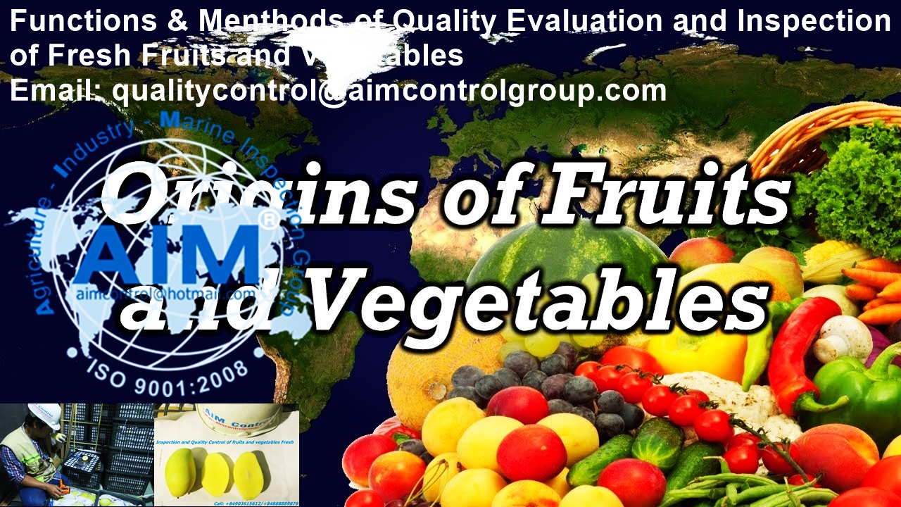 Fruits_quality_control_and_certification