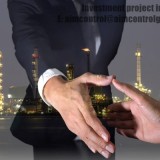 Investment project inspection