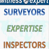 Expert Witness