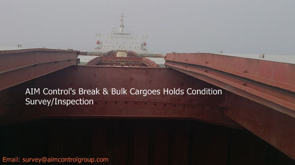 Break_Bulk_Cargoes_Holds_Condition_Survey_AIM_Control_1