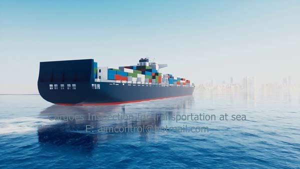 Cargo Inspection transportation at Sea