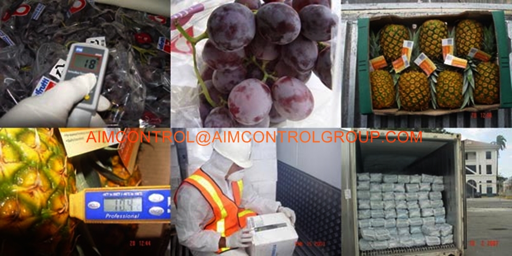 fresh-vegetable-fruits-frozen-foods-inspection-services