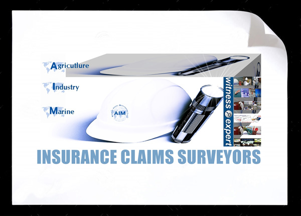 Insurance Claims Surveyor