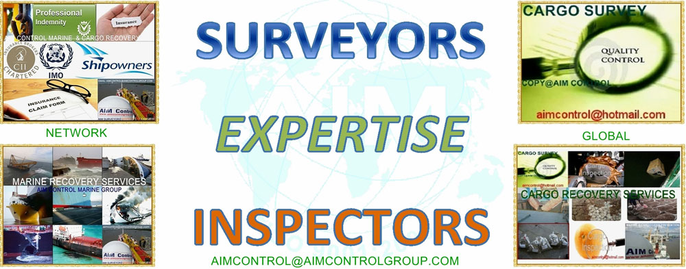 Insurance_Claims_Surveyors