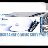 Insurance Claims Surveyor