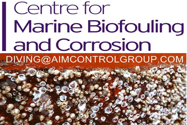Vessel hull bio fouling solution and treatment