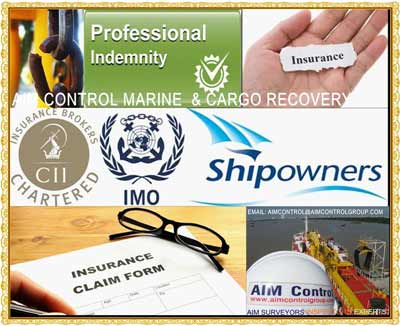 PandI Correspondent, surveyors services