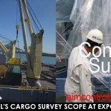 Pre-loading survey / Loading inspection