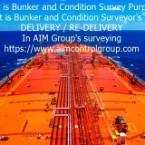 The Full on hire off hire condition surveying and certificate