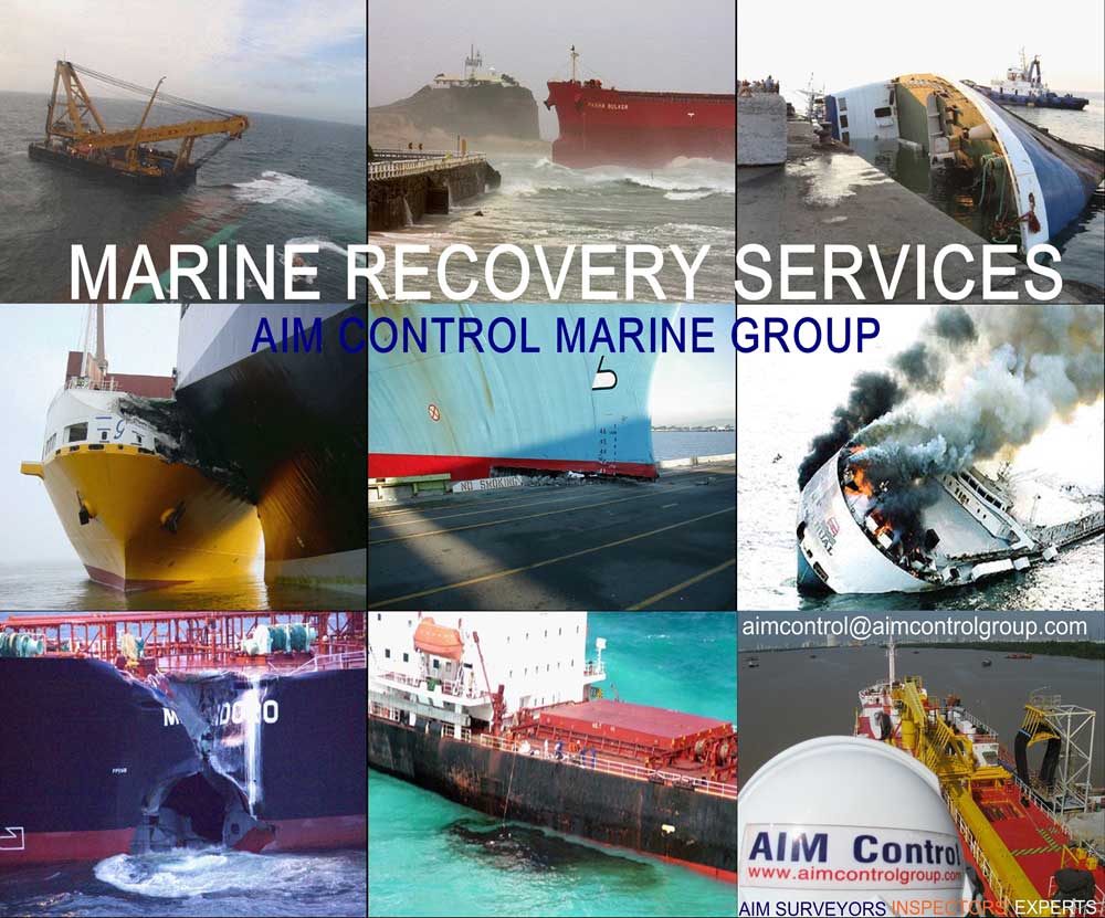 Marine_Vessel_Ship_Collision_Survey_Investigation_AIM_Control