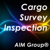 Cargo inspection