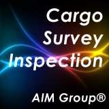 Cargo inspection