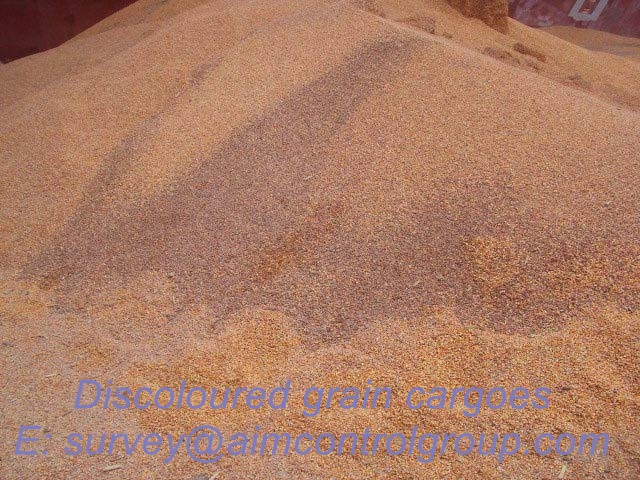 Discoloured_cargo_loss_prevention_for_grain_cargoes