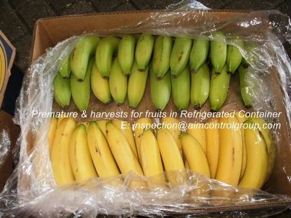 Premature_n_harvests_loss_prevention_for_fruits_in_Refrigerated